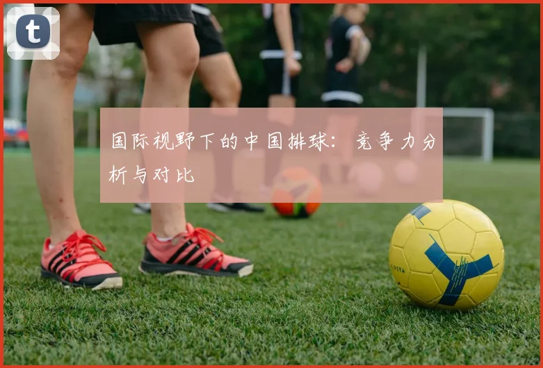 国际视野下的中国排球:竞争力分析与对比