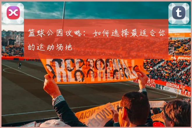 篮球公园攻略:如何选择最适合你的运动场地
